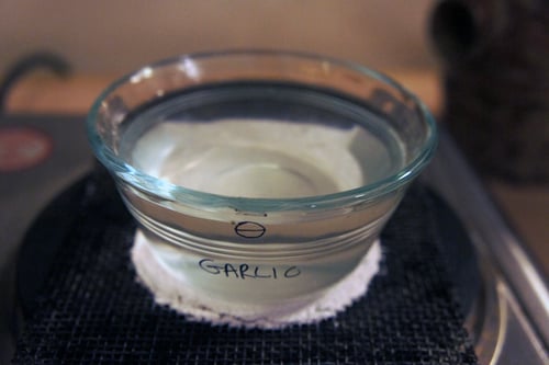 Image of GARLIC spagyric tincture - alchemically enhanced plant extraction