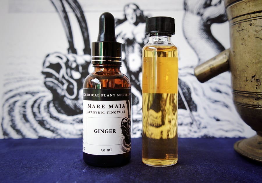 Image of GINGER spagyric tincture - alchemically enhanced plant extraction