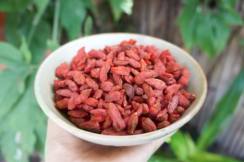 Image of GOJI BERRY spagyric tincture - alchemically enhanced plant extraction