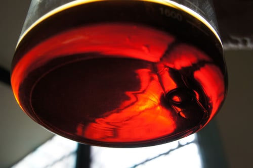 Image of GOJI BERRY spagyric tincture - alchemically enhanced plant extraction