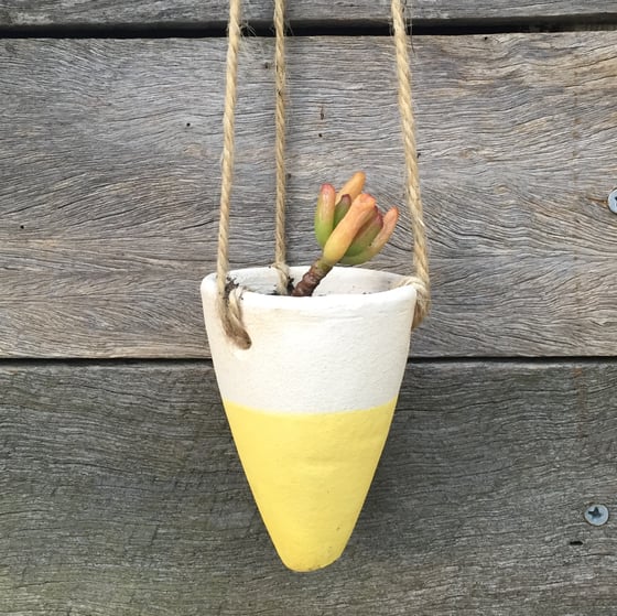 Image of Cone Hanging Pots