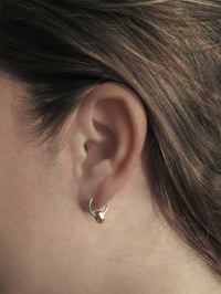 Image 2 of SILVER EARRING WITH GOLD NUT