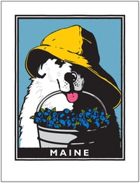 Sea Dog Maine Blueberries