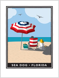 Sea Dog On The Beach