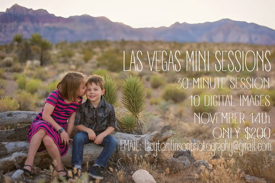 Image of Las Vegas Mini Sessions