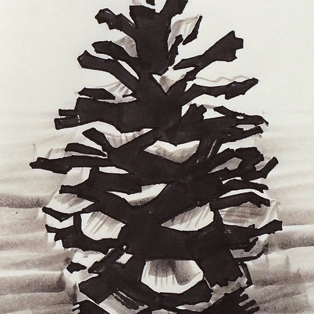 Image of By Hand : Pine Cone Art Print