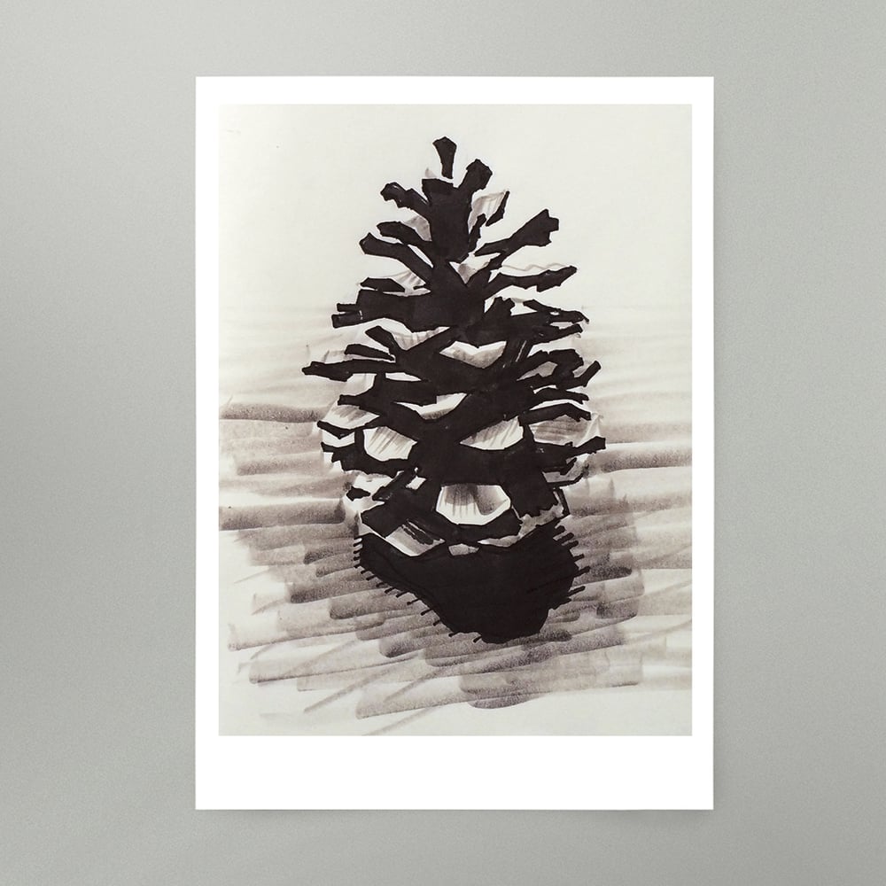Image of By Hand : Pine Cone Art Print