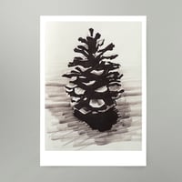 Image 1 of By Hand : Pine Cone Art Print