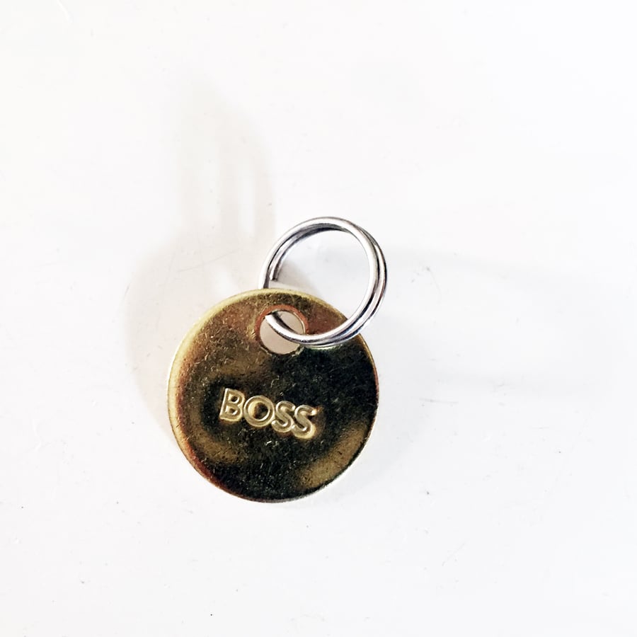 Image of BOSS Brass Pet Tag