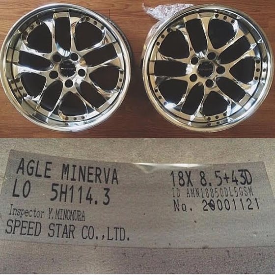 Image of SSR//AGLE MINERVA