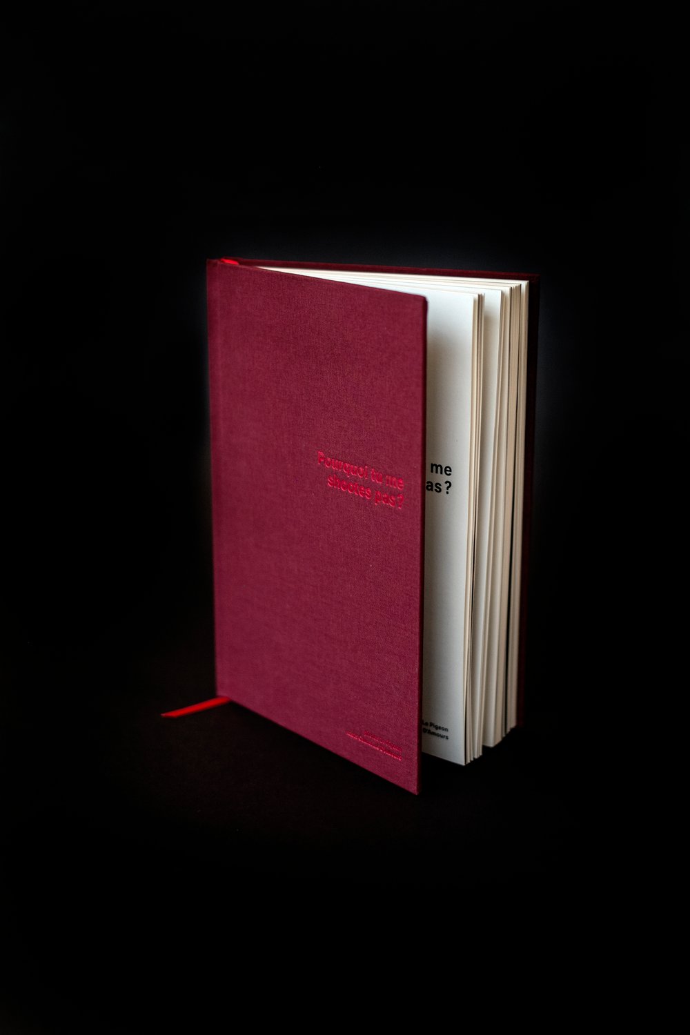 Image of Pourquoi tu me shootes pas?