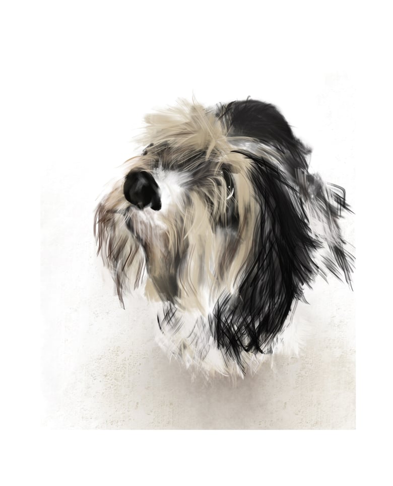 Image of Fine art print: I have my views