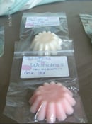 Image of Standard Soy Wax Tarts