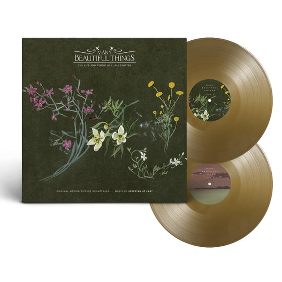 Image of Many Beautiful Things - Vinyl (2xLP Gold)