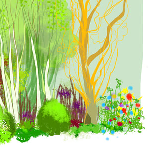 Rain Garden