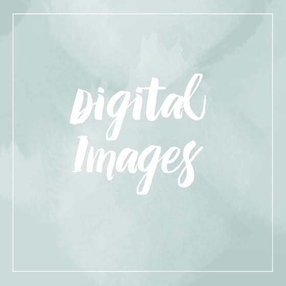 Image of Session + Digital Images