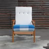 Amrapali Chair Option 2