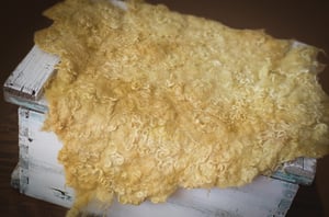 Image of  Nest of Curls Blanket - yellow mustard