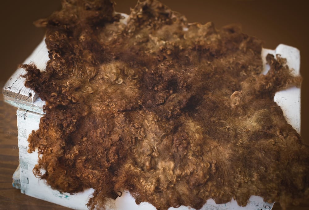 Image of Nest of Curls Blanket - Chocolate Dream