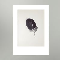 Image 1 of By Hand : Acorn Art Print