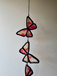 Image 1 of Butterflies V13