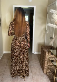 Image 3 of Animal Tyme