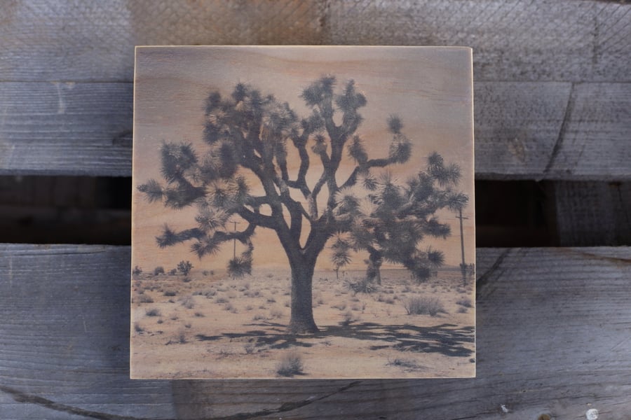 Image of Original Wood Prints