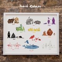 Animal Colours Print
