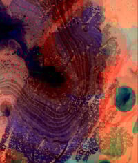 Image 1 of Conception #2