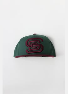 Image of Ducks Snapback