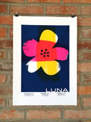 Image of Luna West Coast US Tour Posters 