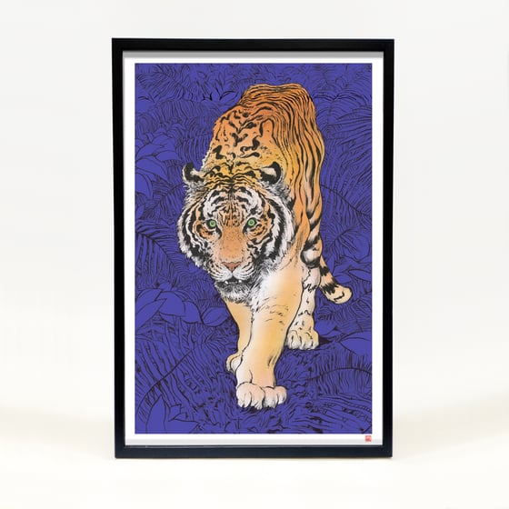 Image of Pantera Tigris