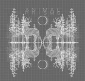 Image of Animal Prisms Extended cd