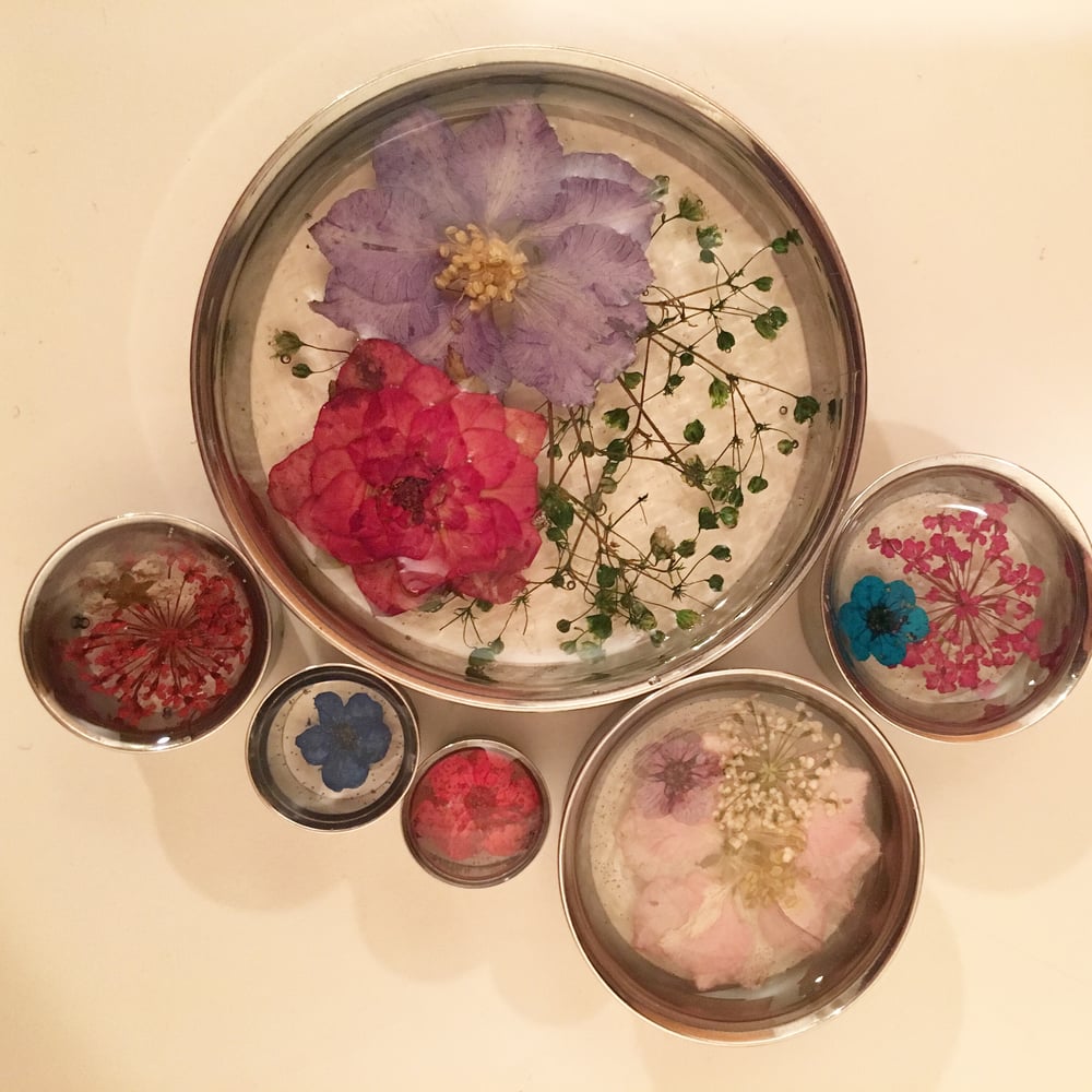 Image of Real Pressed Flower Plugs (sizes 0g-2")