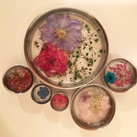Image 2 of Real Pressed Flower Plugs (sizes 2g-2")
