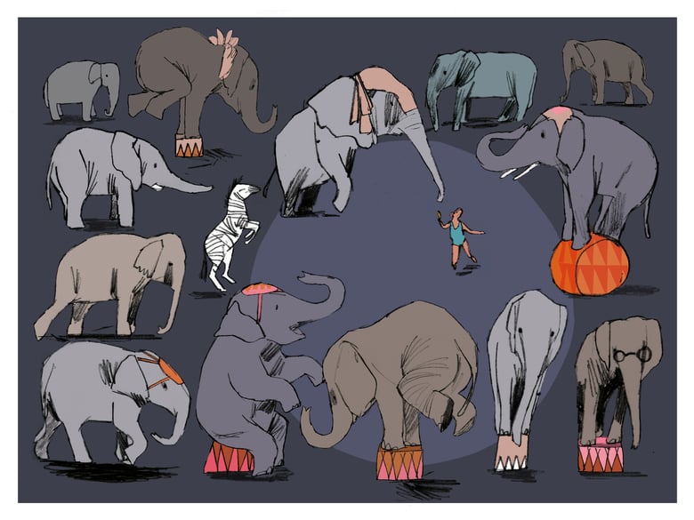 Image of Elephants!