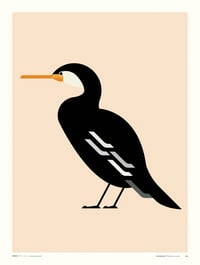 Cormorant / Cork Harbour Bird Series