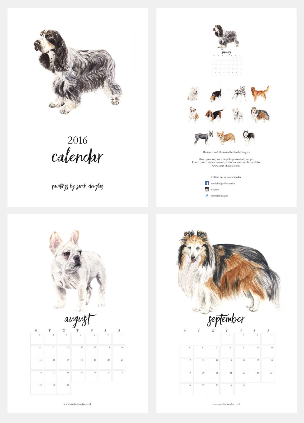 2016 Illustrated Dog Calendar *On Sale* / Sarah Douglas