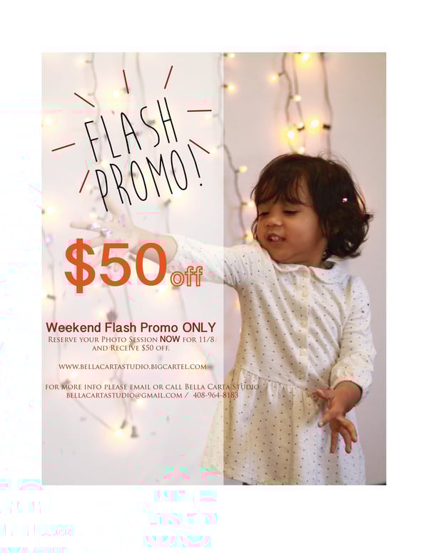 Image of Holiday Photo Session $250