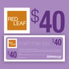Red Leaf Gift Certificate Never Expires
