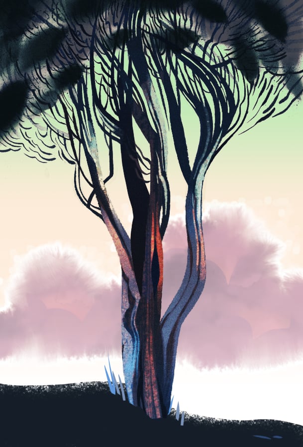 Image of Tree