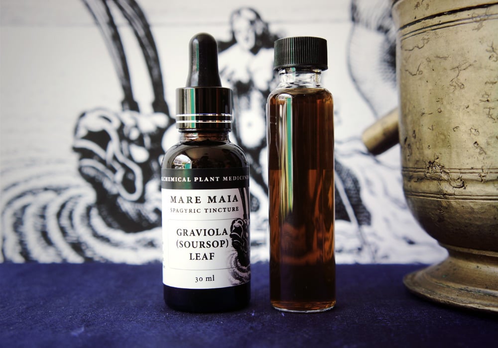 Image of GRAVIOLA (SOURSOP) LEAF spagyric tincture - alchemically enhanced plant extraction