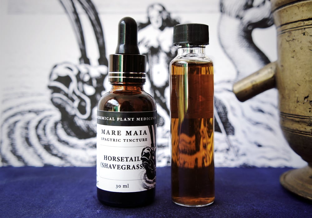 Image of HORSETAIL (SHAVEGRASS) spagyric tincture - alchemically enhanced plant extraction