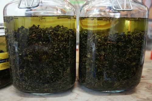 Image of JIAOGULAN spagyric tincture - alchemically enhanced plant extraction