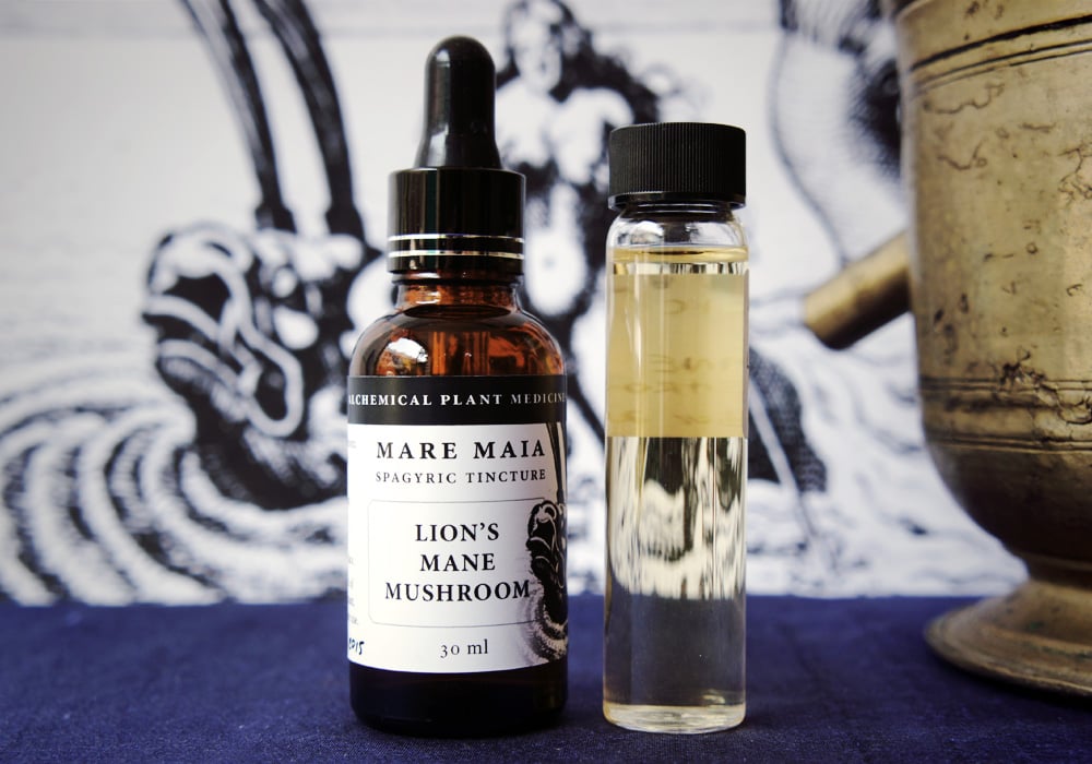 Image of LION'S MANE MUSHROOM spagyric tincture - alchemically enhanced plant extraction
