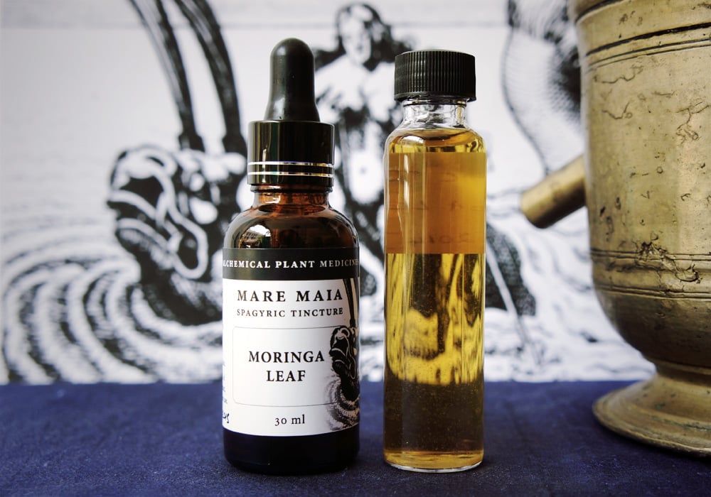 Image of MORINGA LEAF spagyric tincture - alchemically enhanced plant extraction