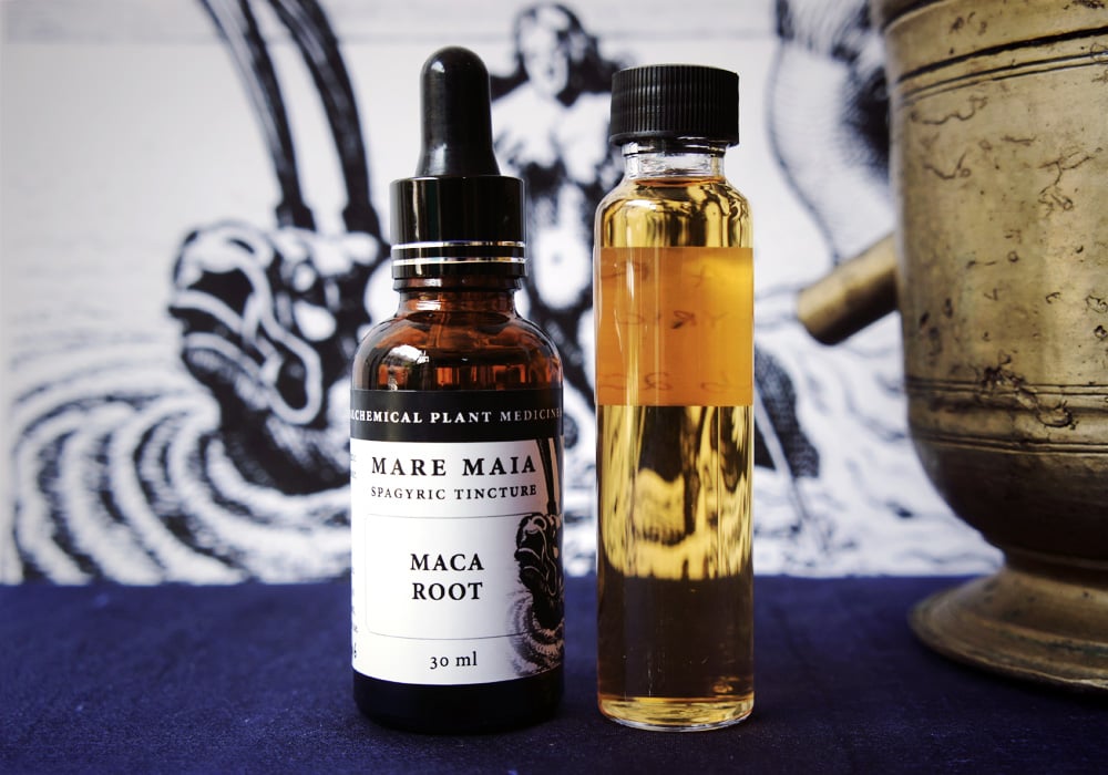 Image of MACA ROOT spagyric tincture - alchemically enhanced plant extraction