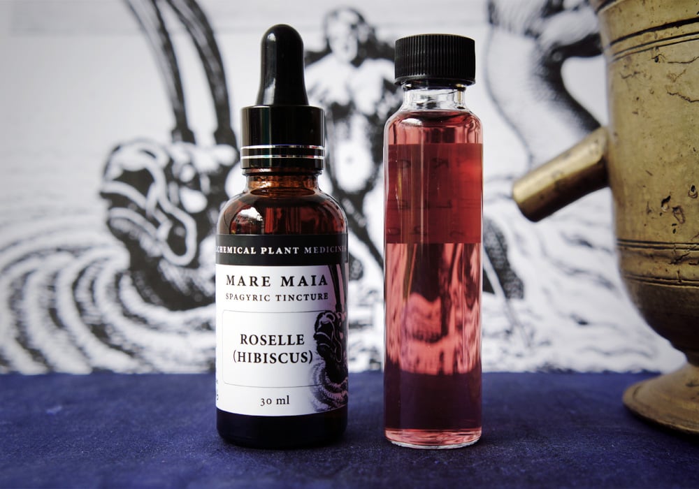Image of ROSELLE (HIBISCUS) spagyric tincture - alchemically enhanced plant extraction