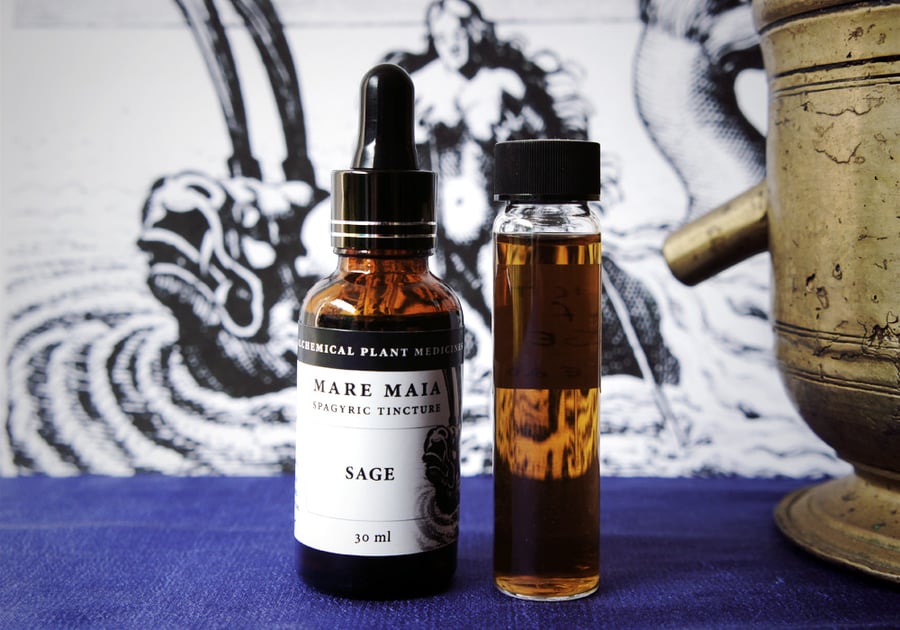 Image of SAGE spagyric tincture - alchemically enhanced plant extraction