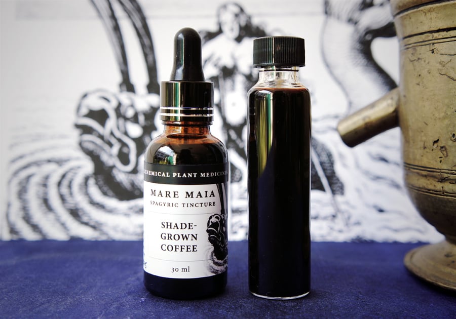 Image of COFFEE spagyric tincture - alchemically enhanced plant extraction